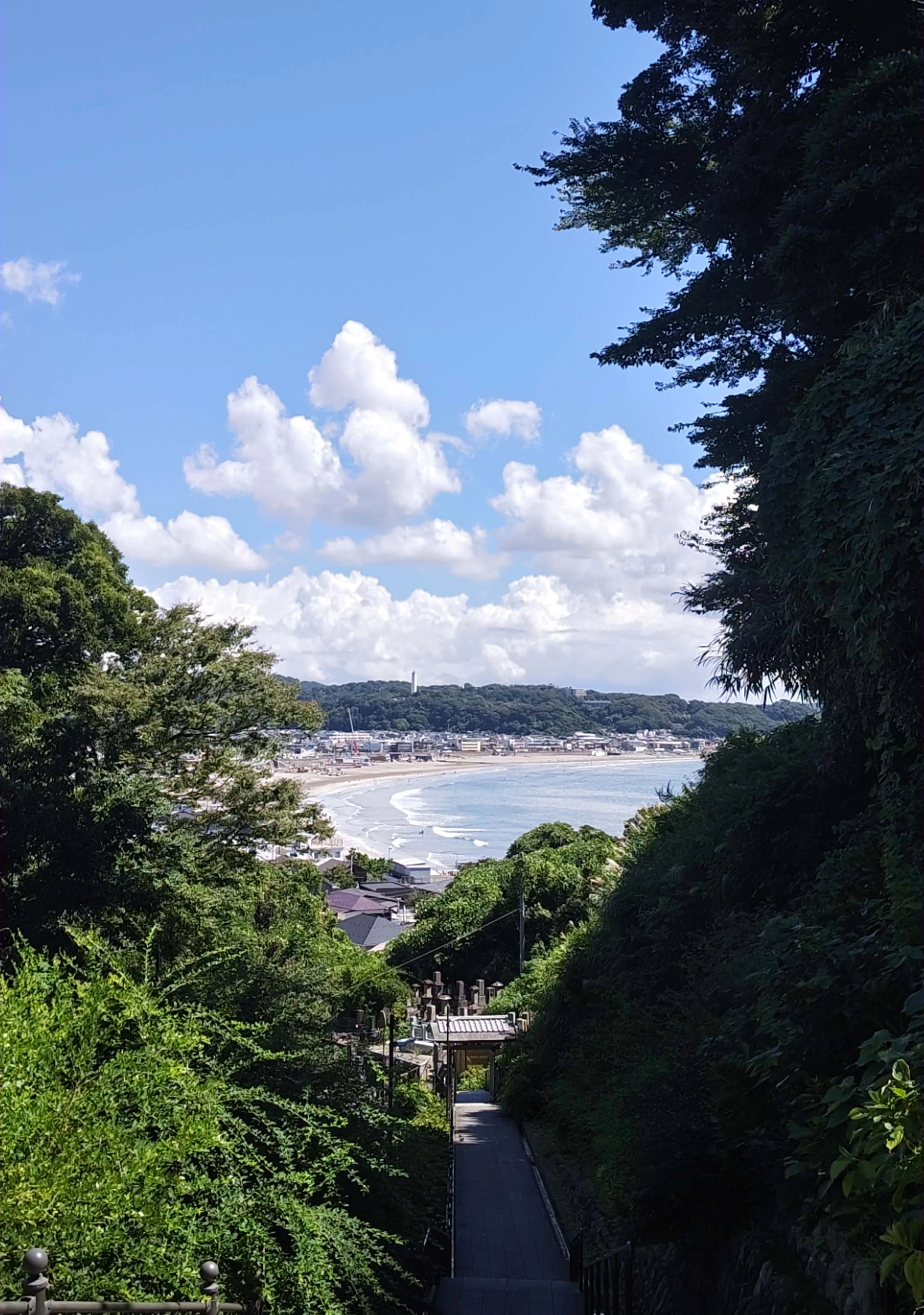 境内からの景色