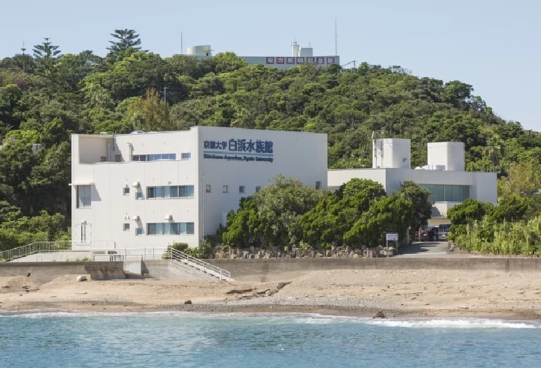 京都大学白浜水族館の外観