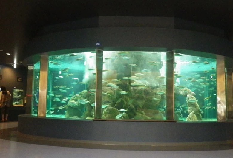 第2水槽室中央の円柱形の水槽