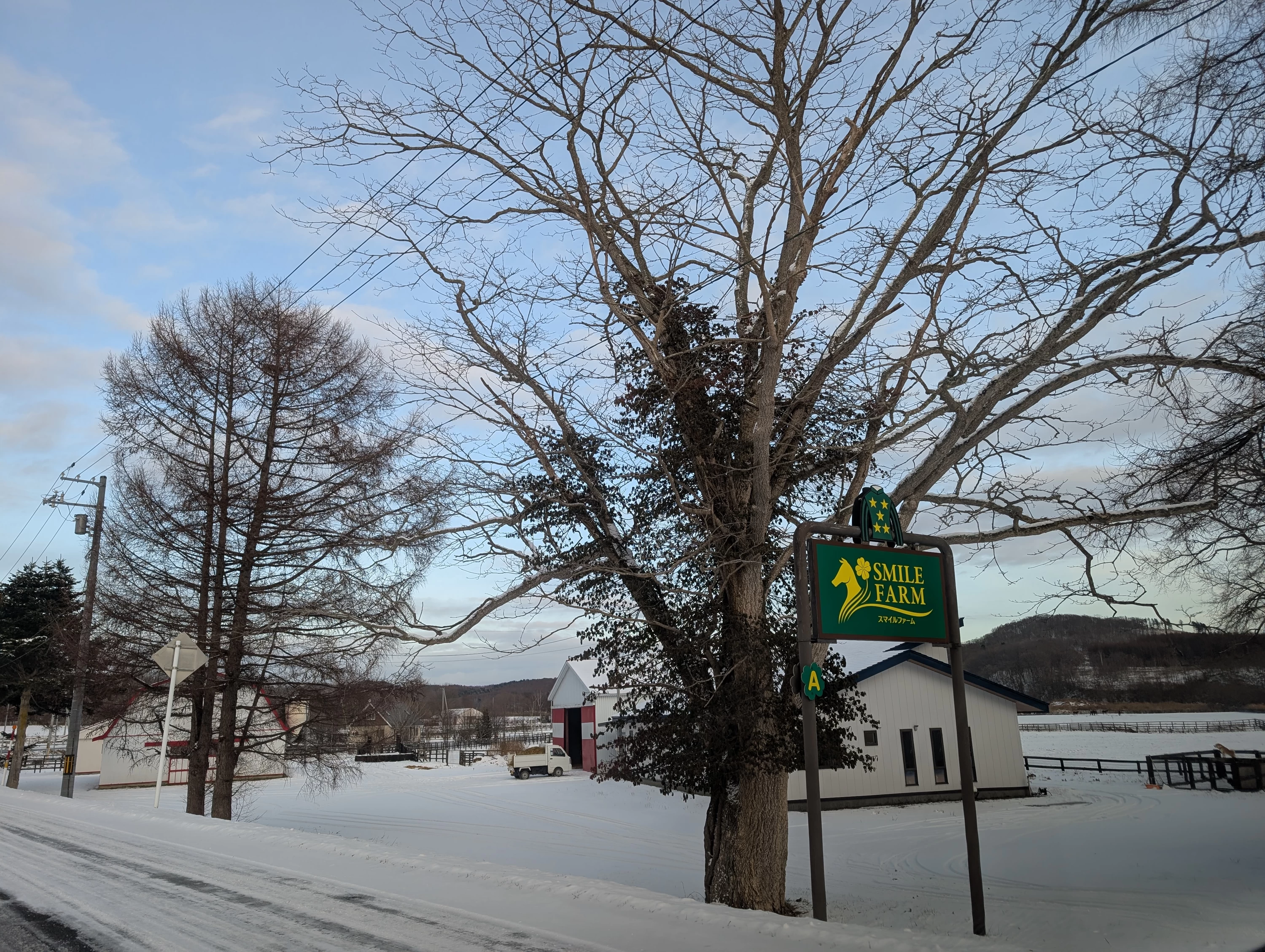 牧場（現地にて撮影）