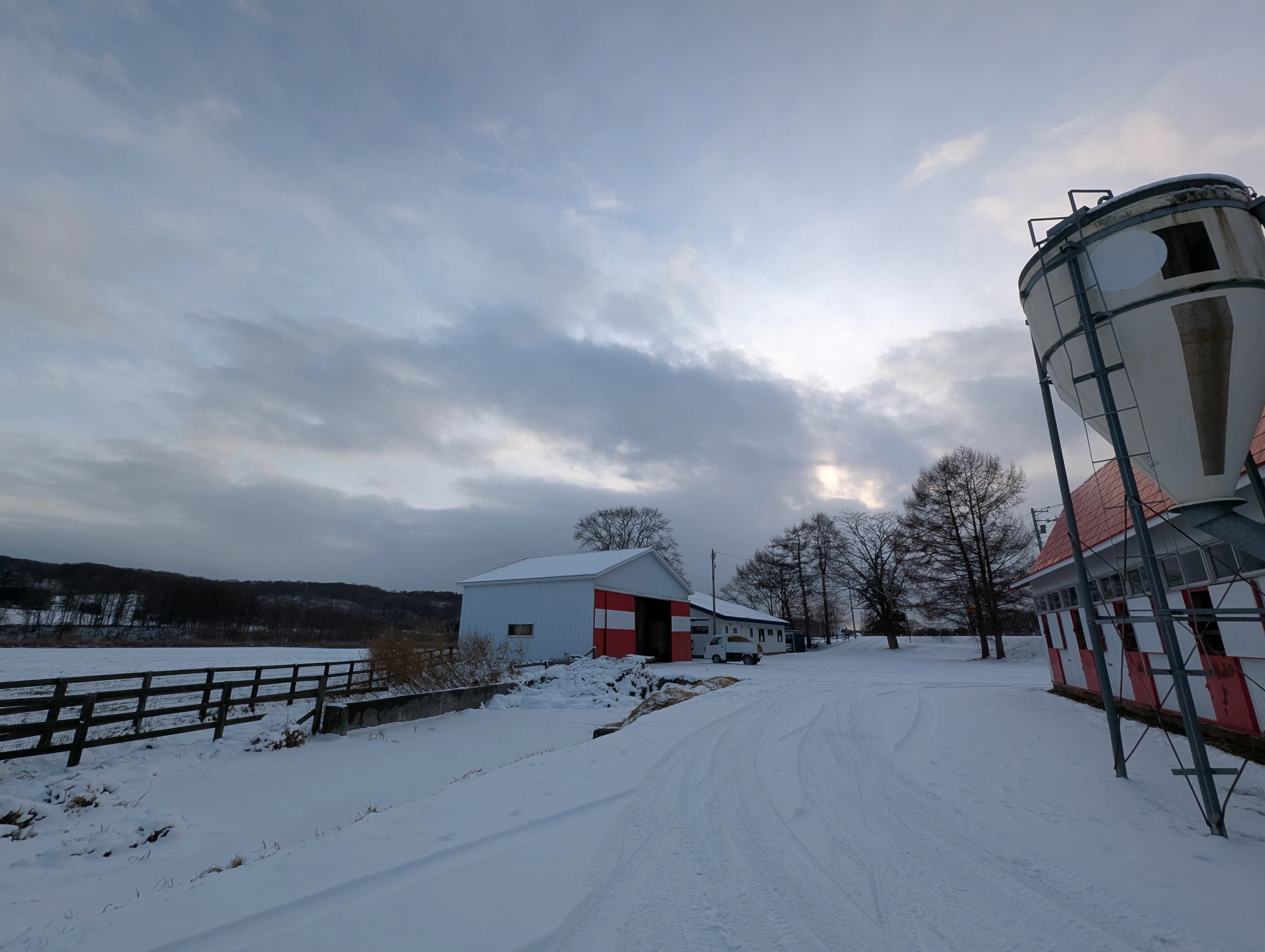 牧場内（現地にて撮影）