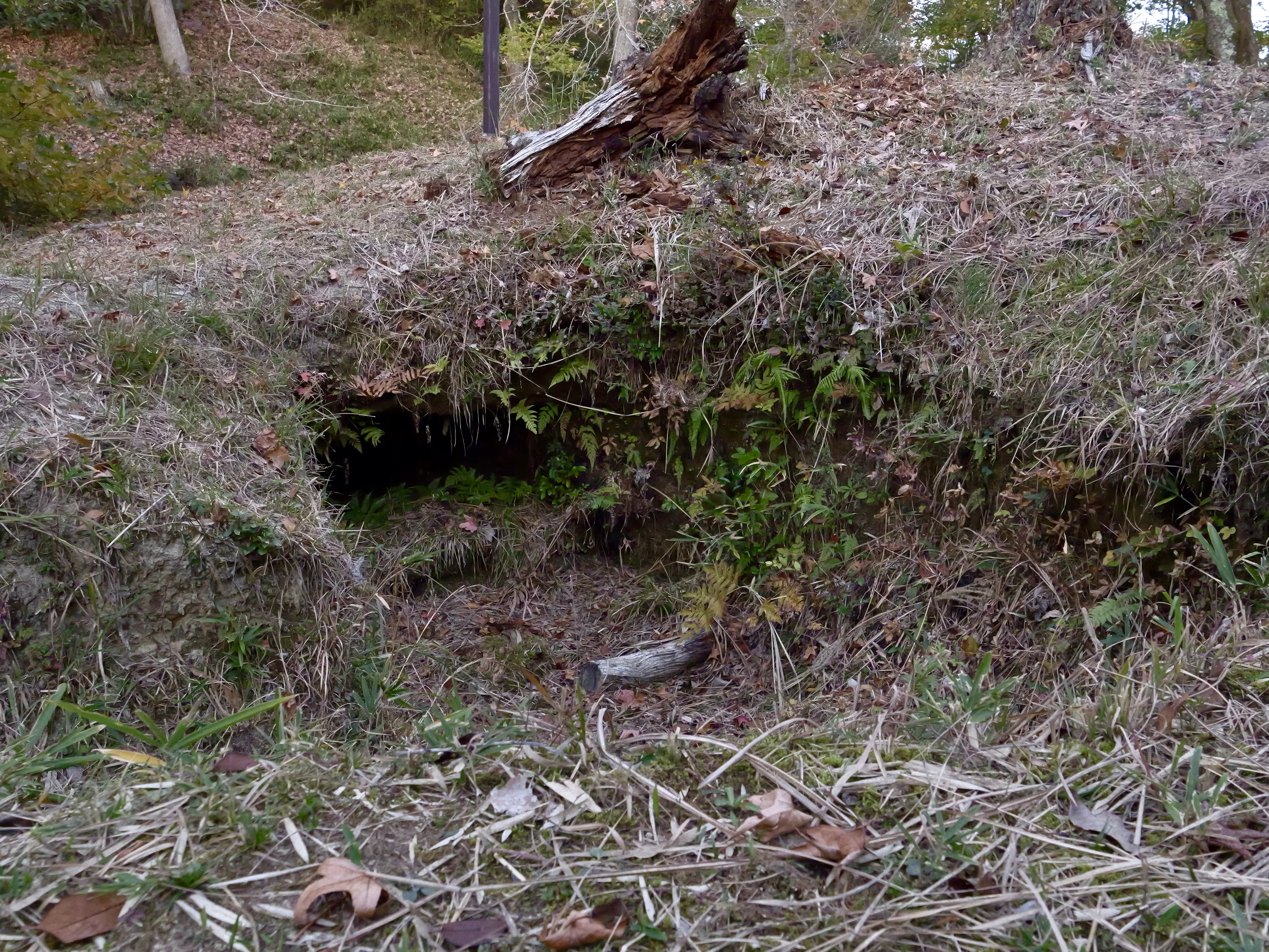 抜け穴（現地にて撮影）