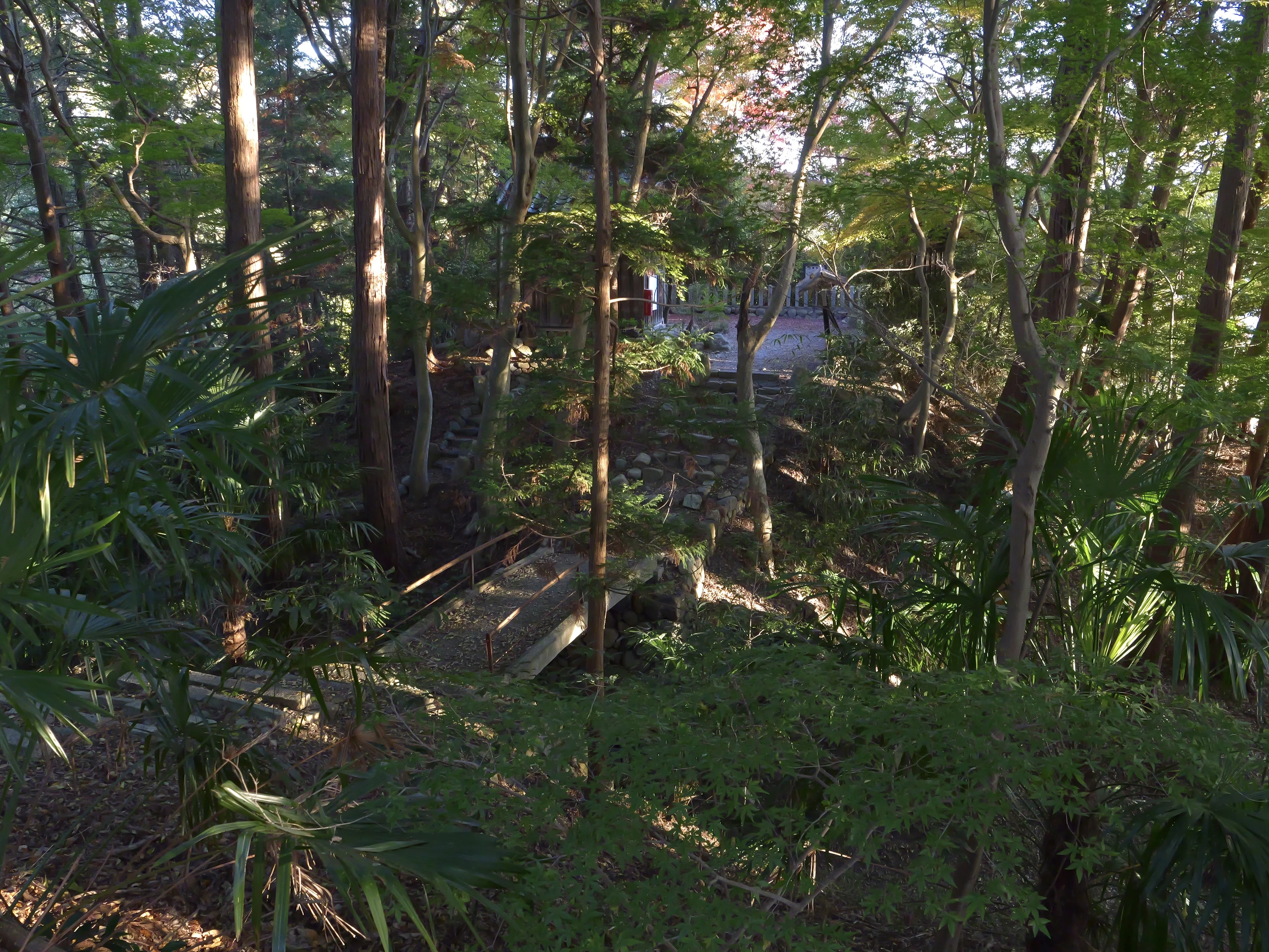 本丸北東側の土塁遺構（現地にて撮影）