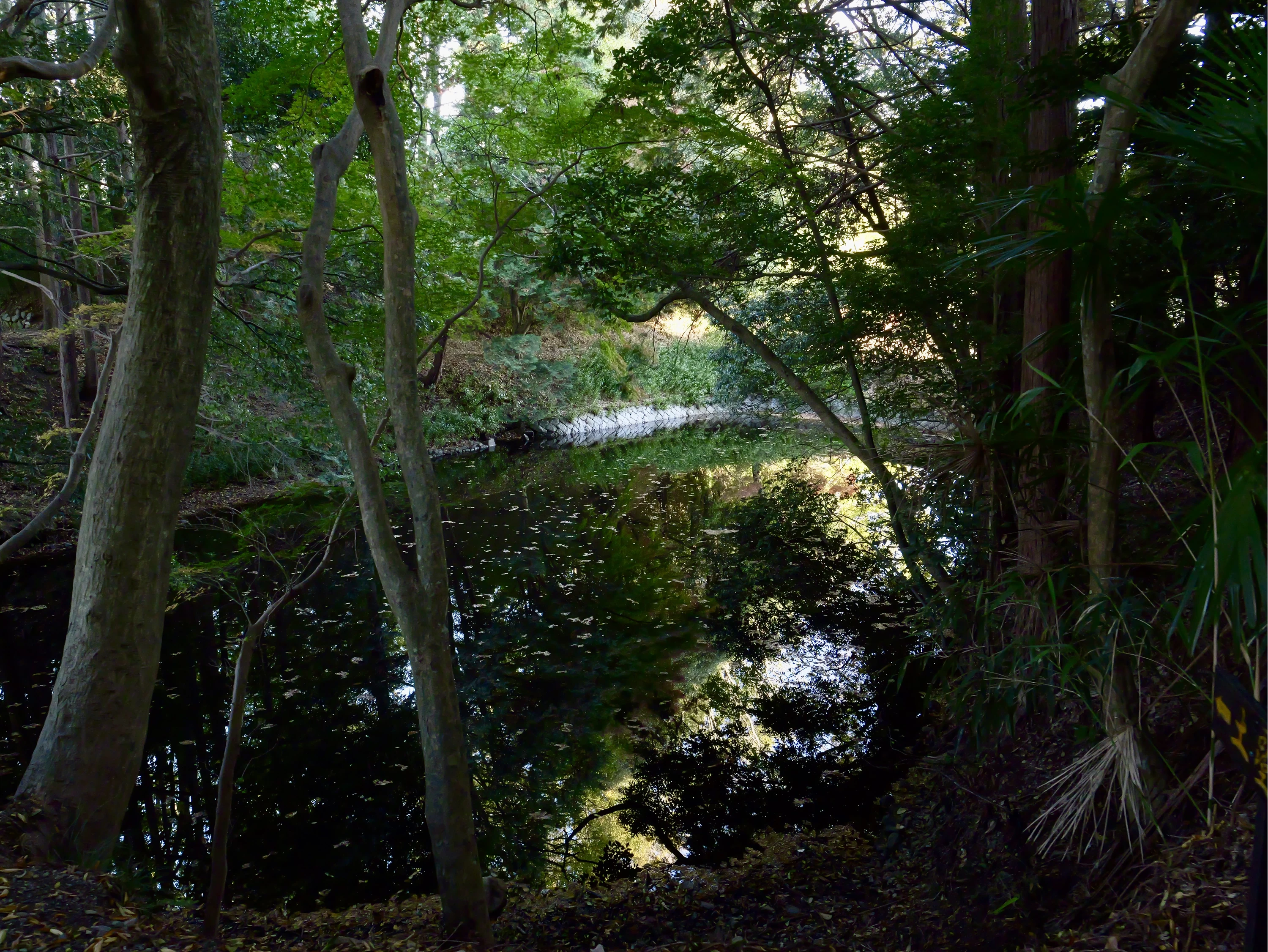 水堀遺構（現地にて撮影）