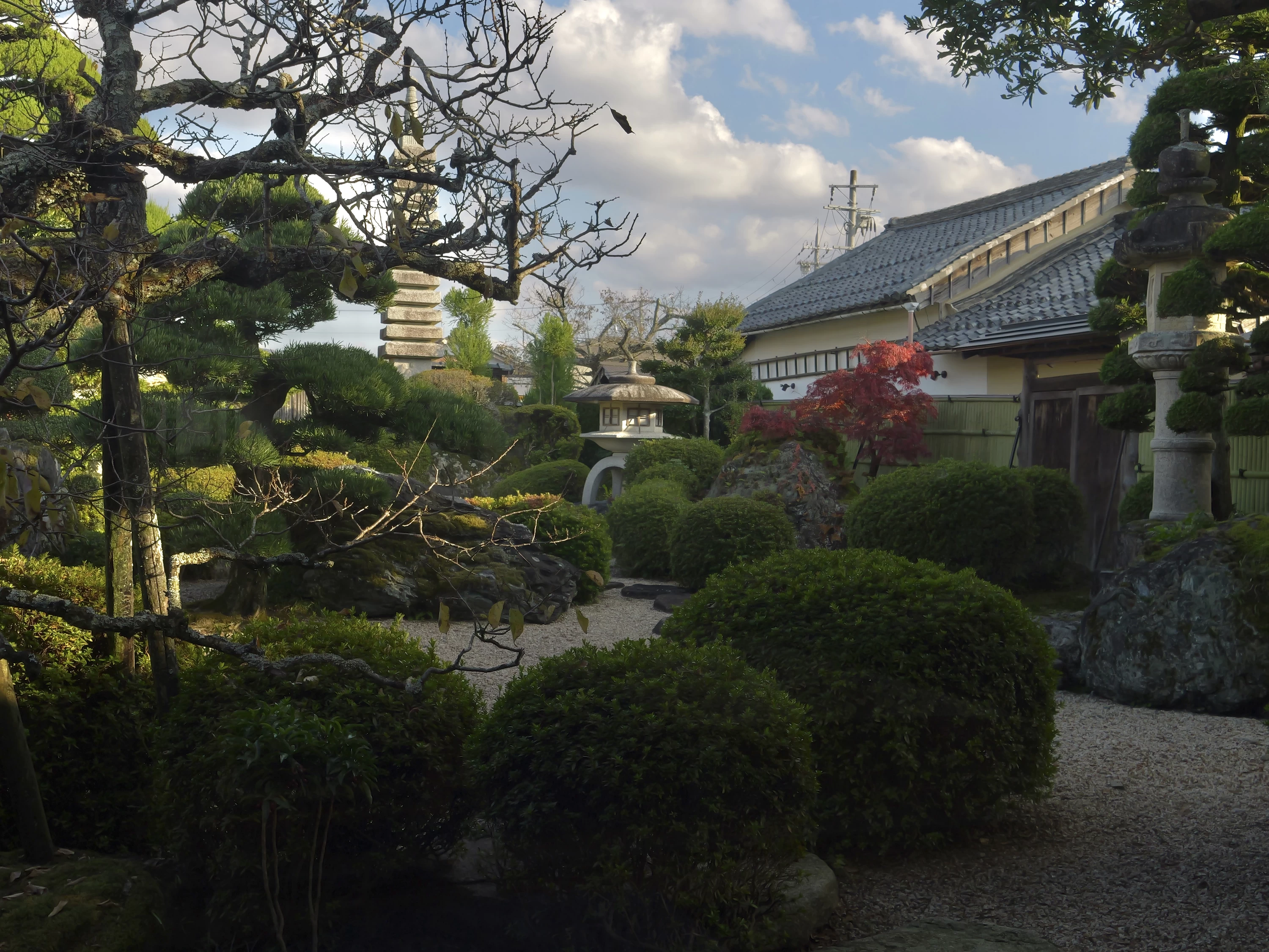 庭園（現地にて撮影）