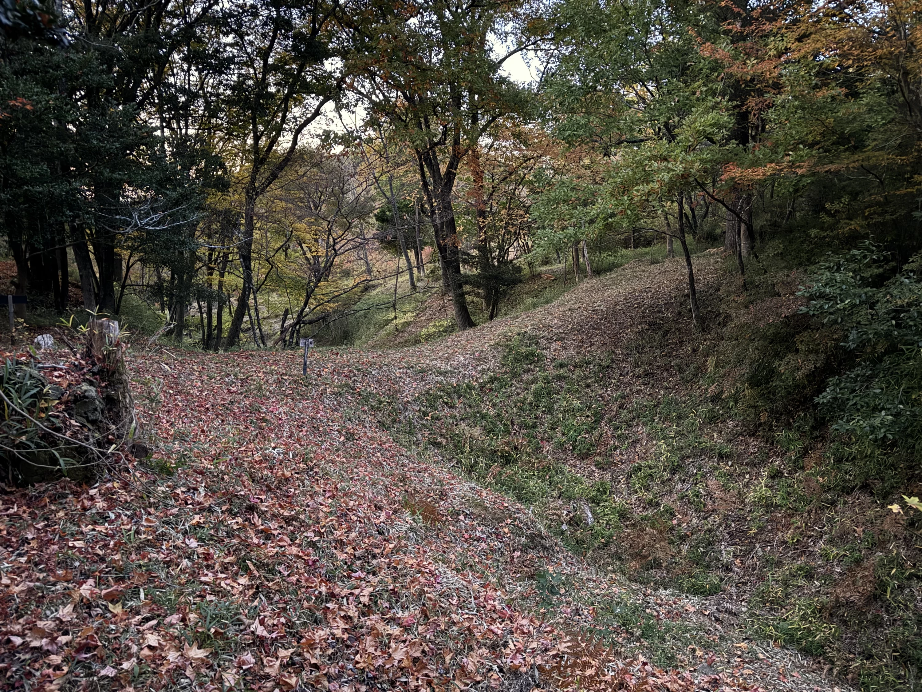 土橋と空堀（現地にて撮影）