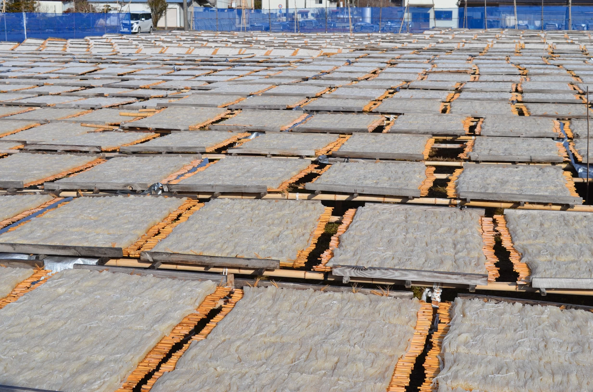 寒天の凍結と感想（画像提供：山サ寒天産業）