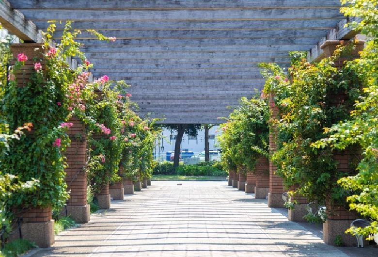 春と秋には多彩なバラが咲き誇る