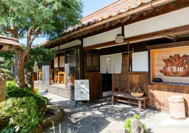 秀翠園の煎茶体験③