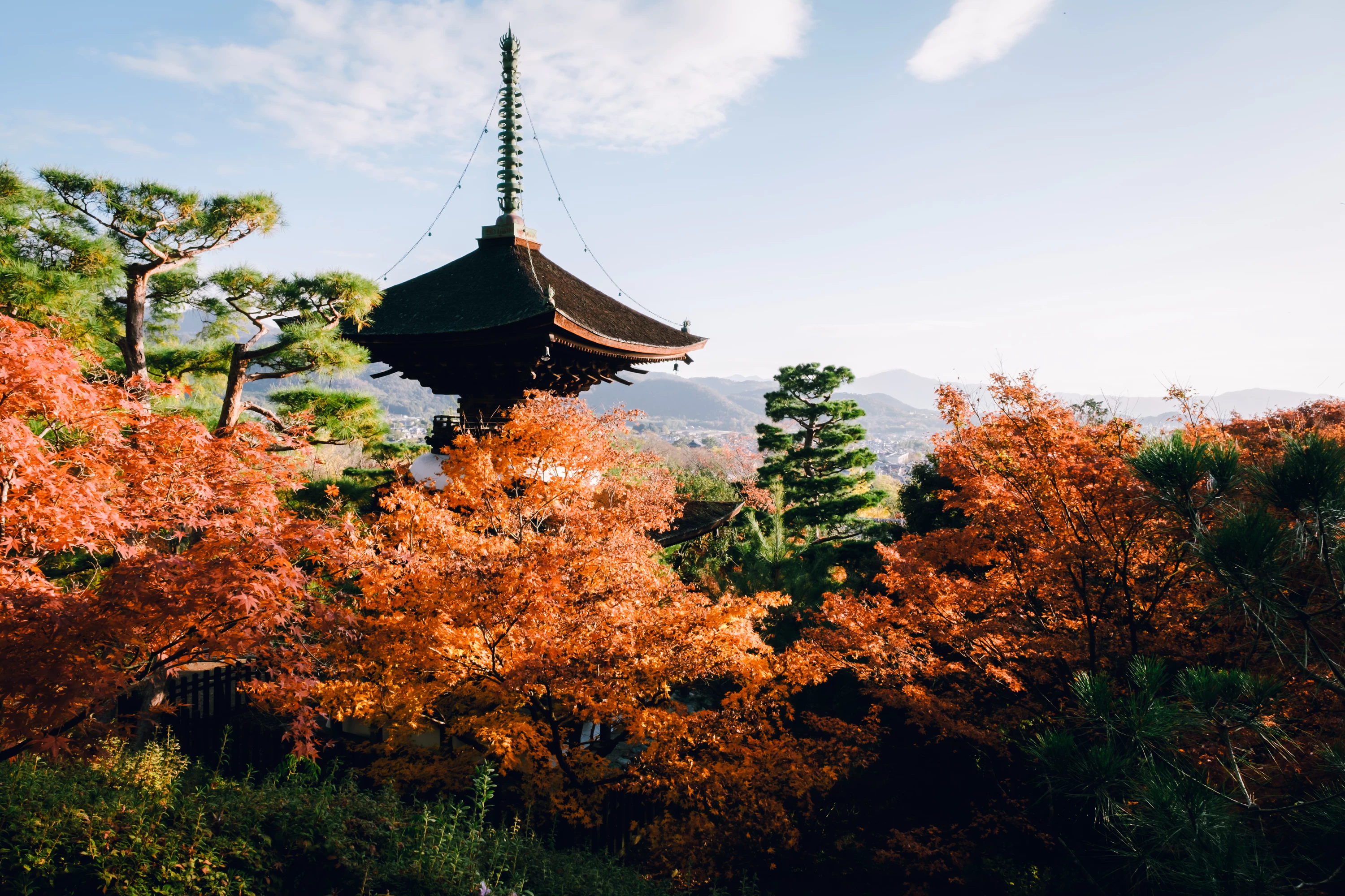 遠くからの景色