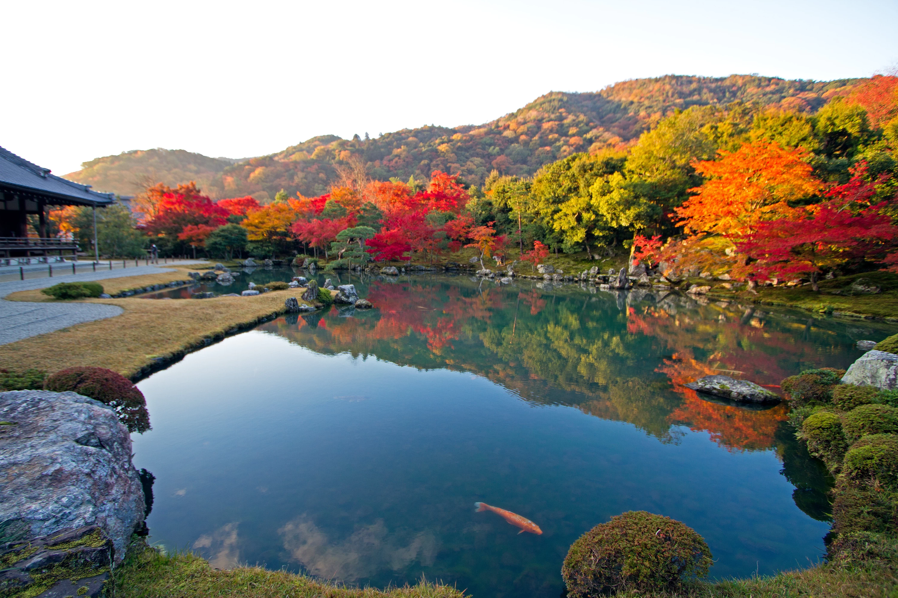 紅葉の曹源池庭園