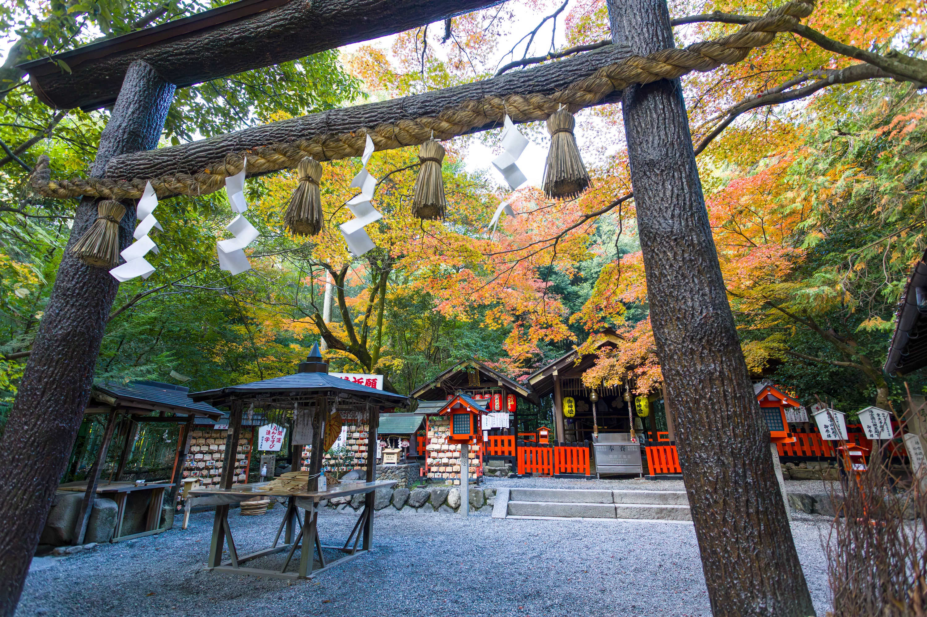 秋の鳥居と境内