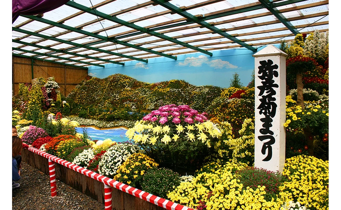 菊まつり