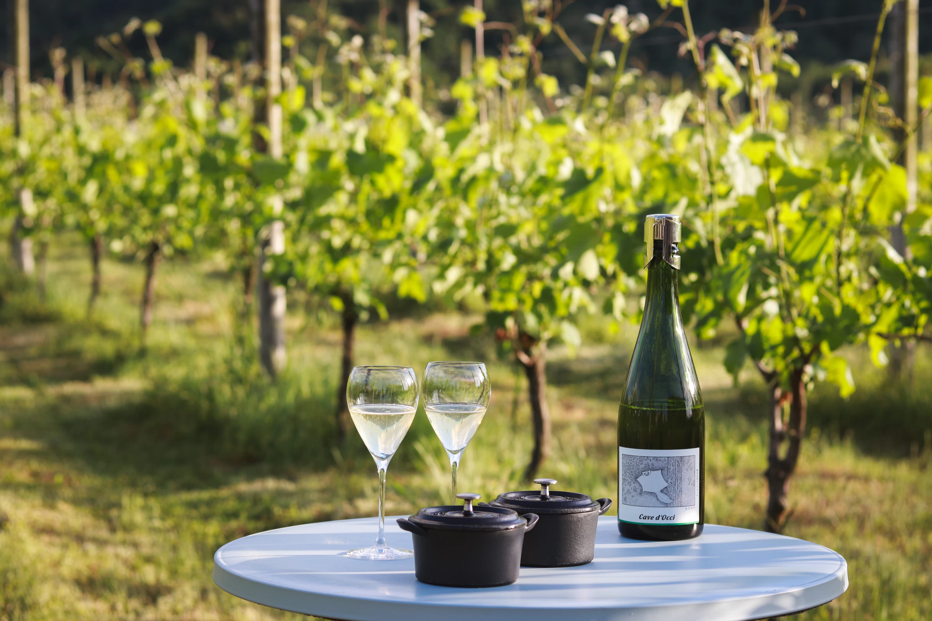 アペリティフとぶどう畑