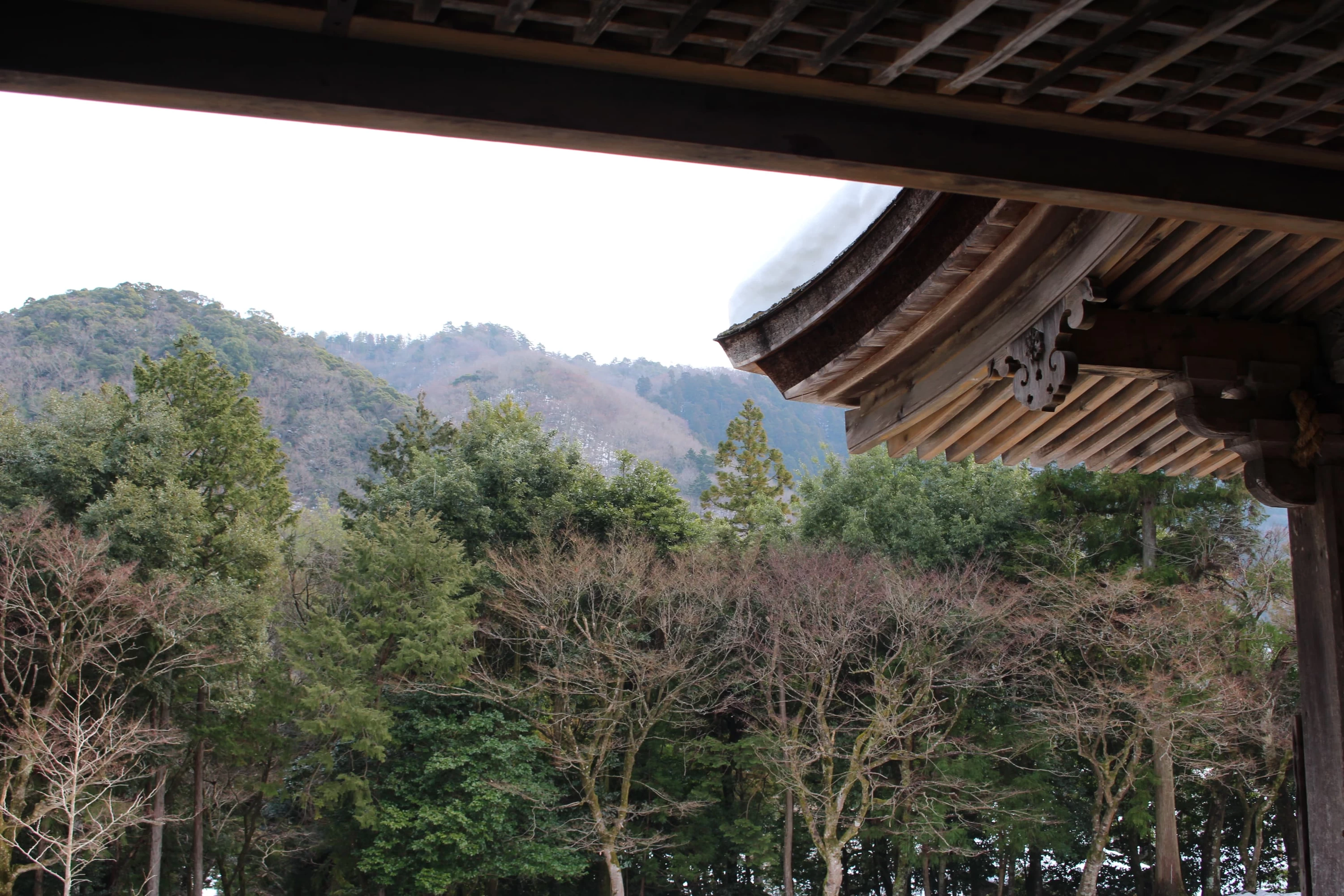 本堂からの景色。ここから見える山々とも深い関わりがあるそう
