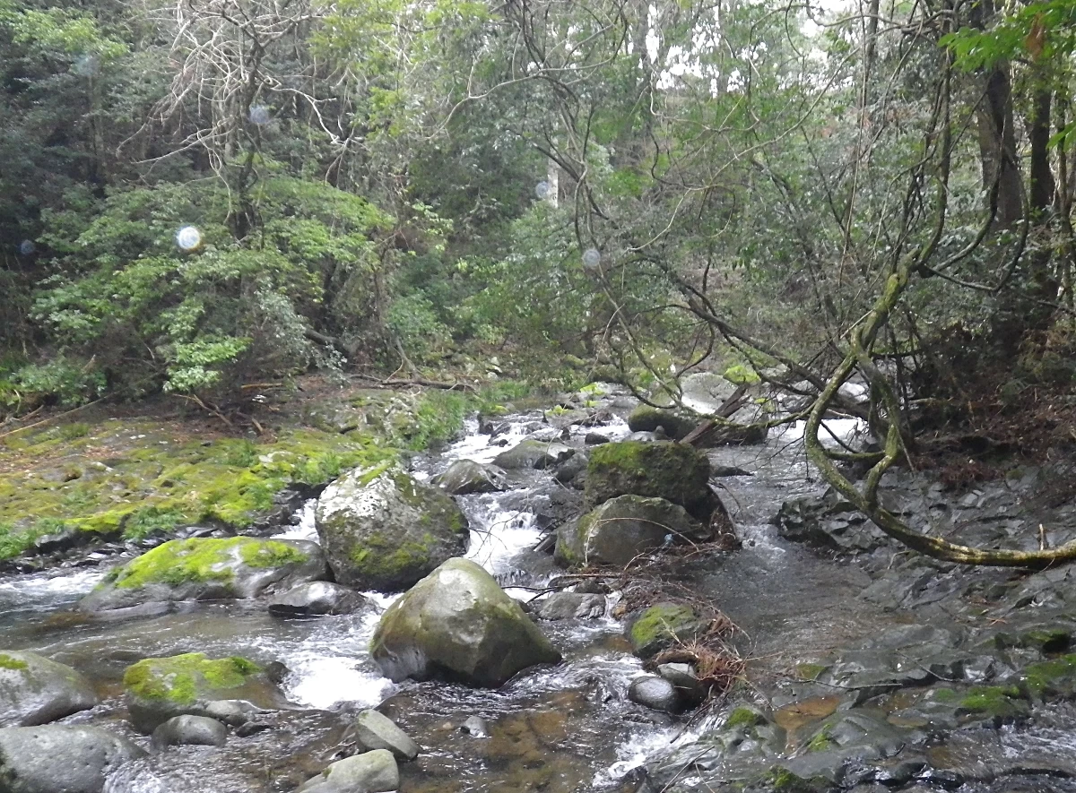 遊歩道からの眺め(現地にて撮影)