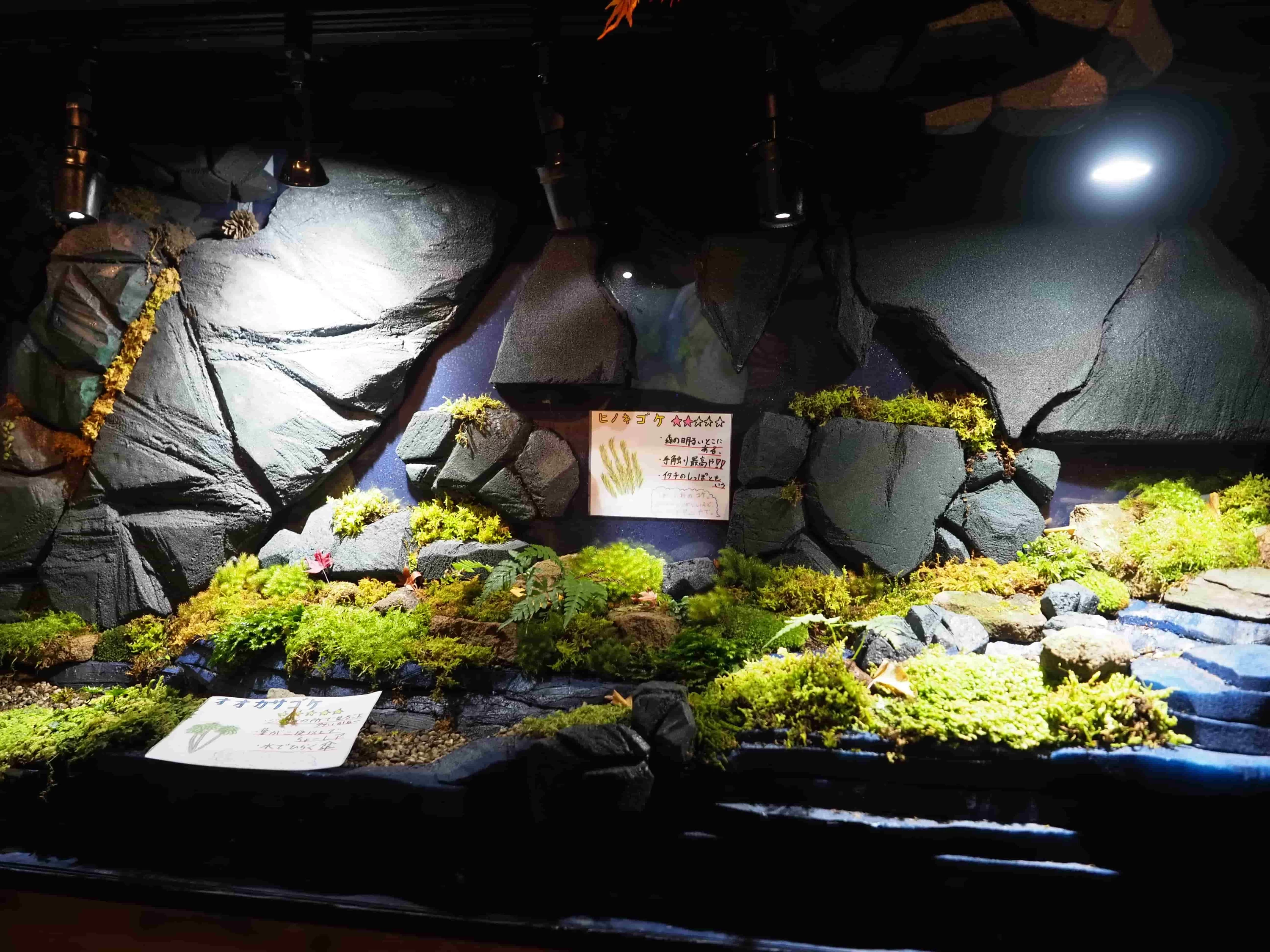 各種の特徴がまとめられたPOPも必読(現地にて撮影)