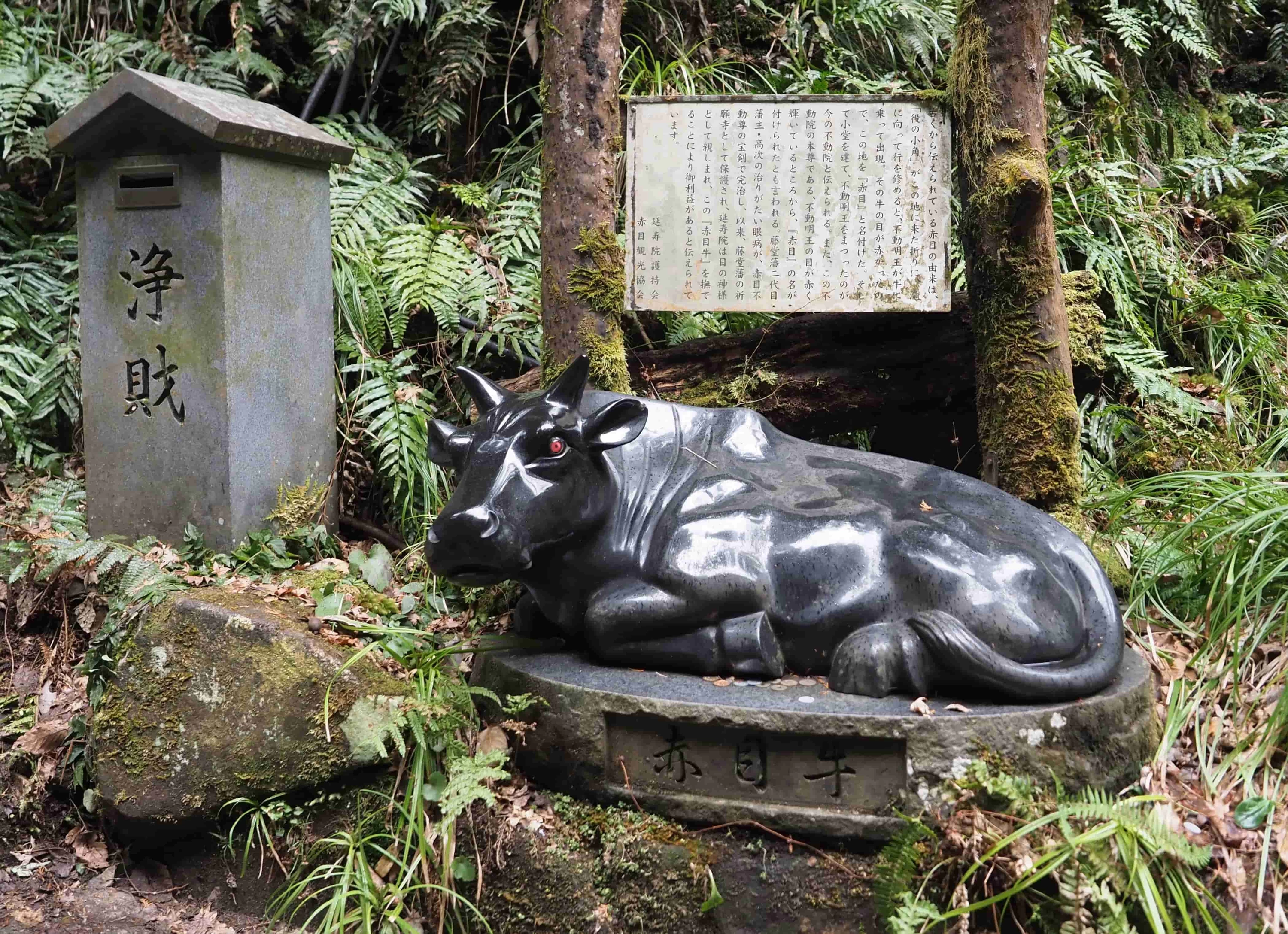 渓谷のシンボル・赤目牛(現地にて撮影)