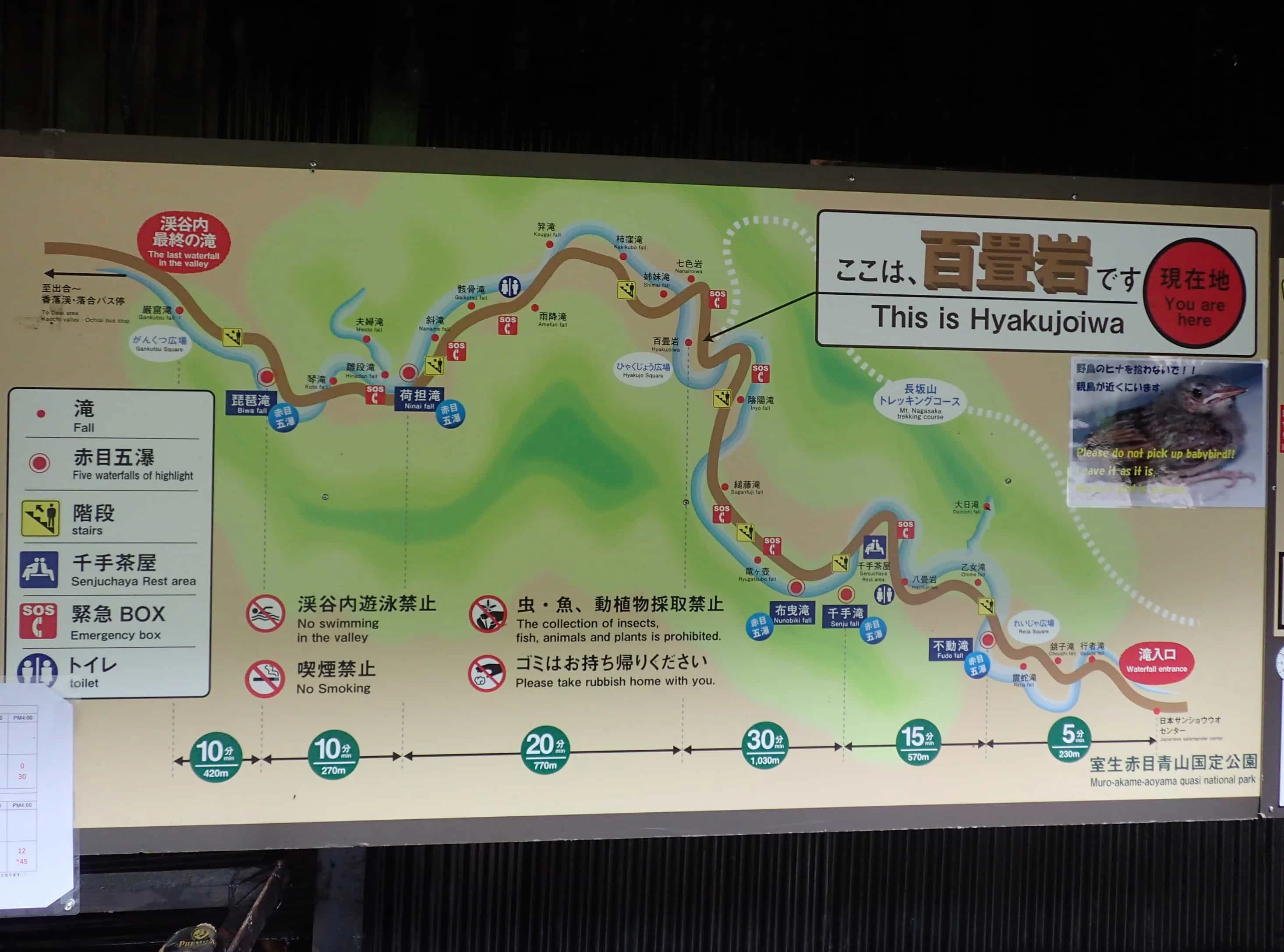 徒歩目安時間表付き渓谷地図(現地にて撮影)