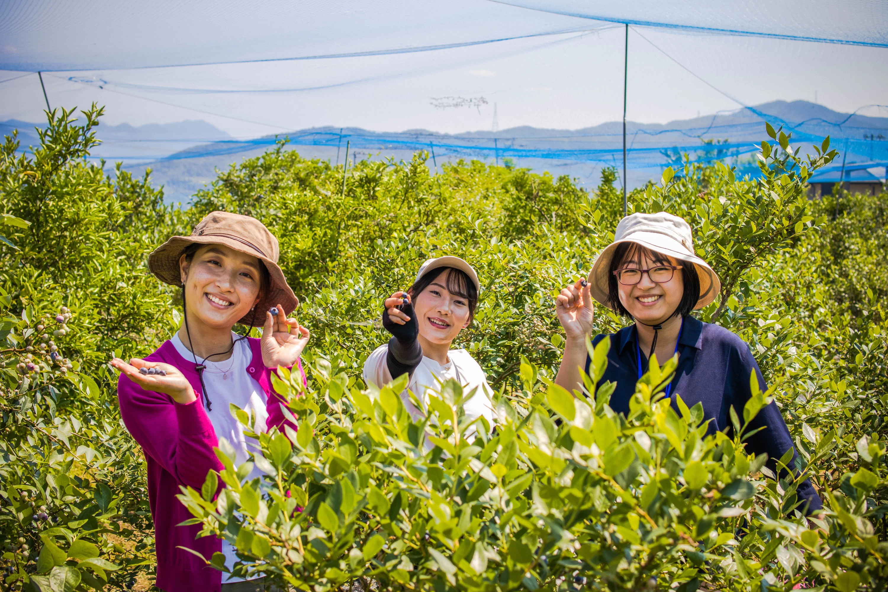 ブルーベリー狩り①