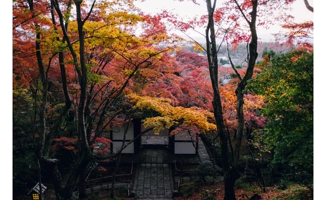 仁王門