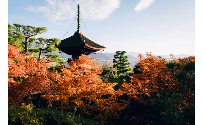 遠くからの景色
