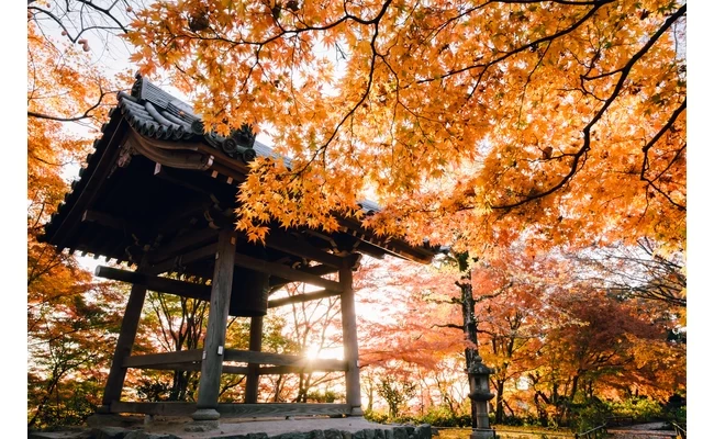 鐘と紅葉