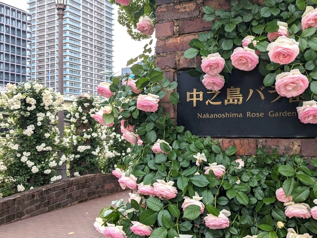 中之島バラ園のプレート（現地にて撮影）