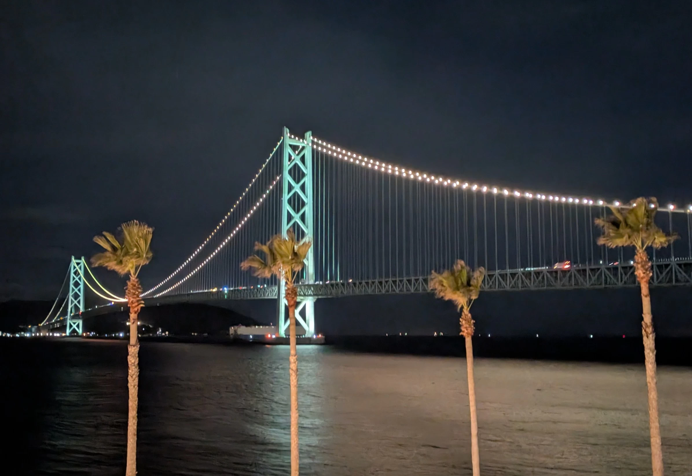 食後はライトアップ鑑賞もおすすめ（現地にて撮影）
