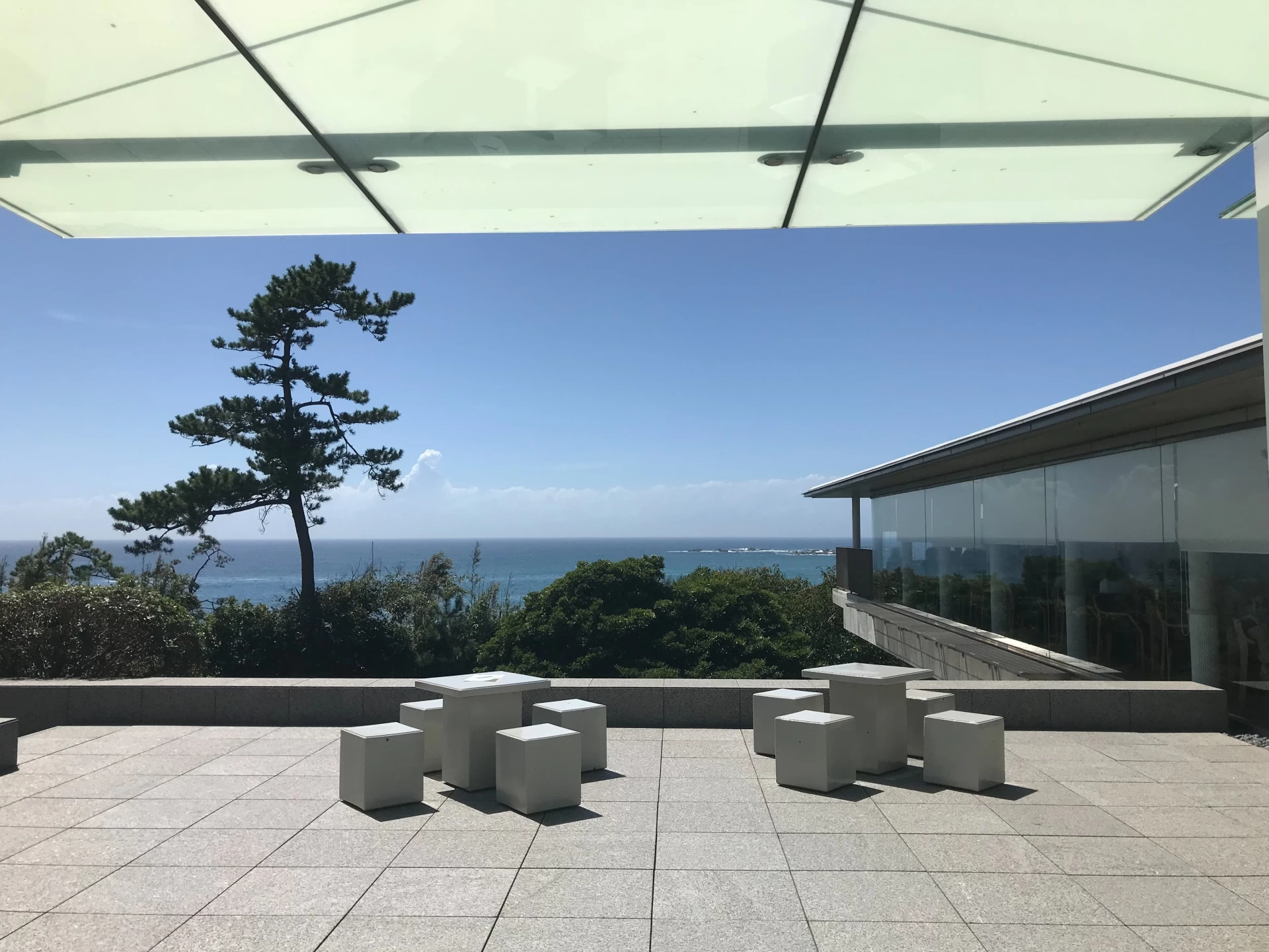 中庭からの眺め