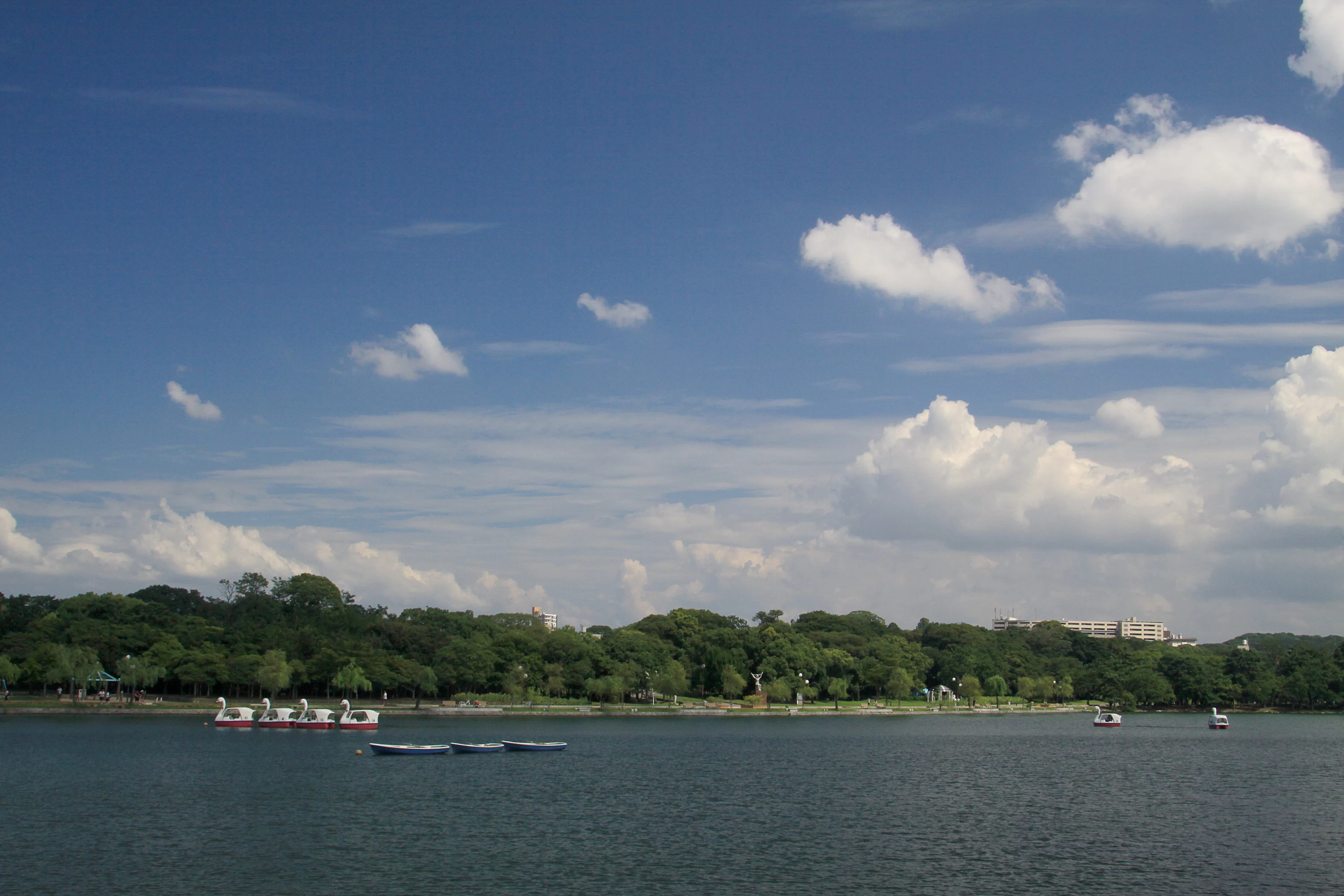 ボート遊びも楽しい大濠公園