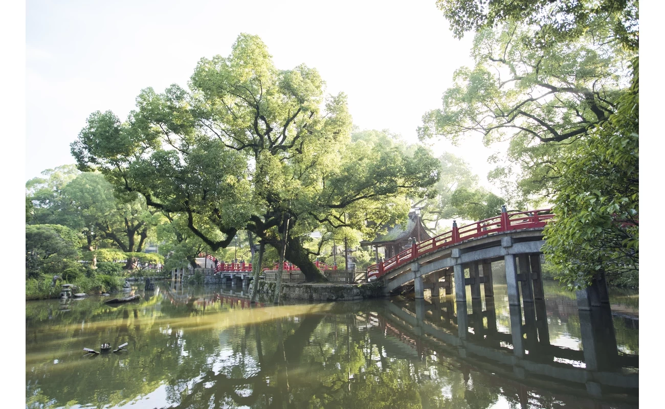 みずみずしい緑に橋の朱赤が映える