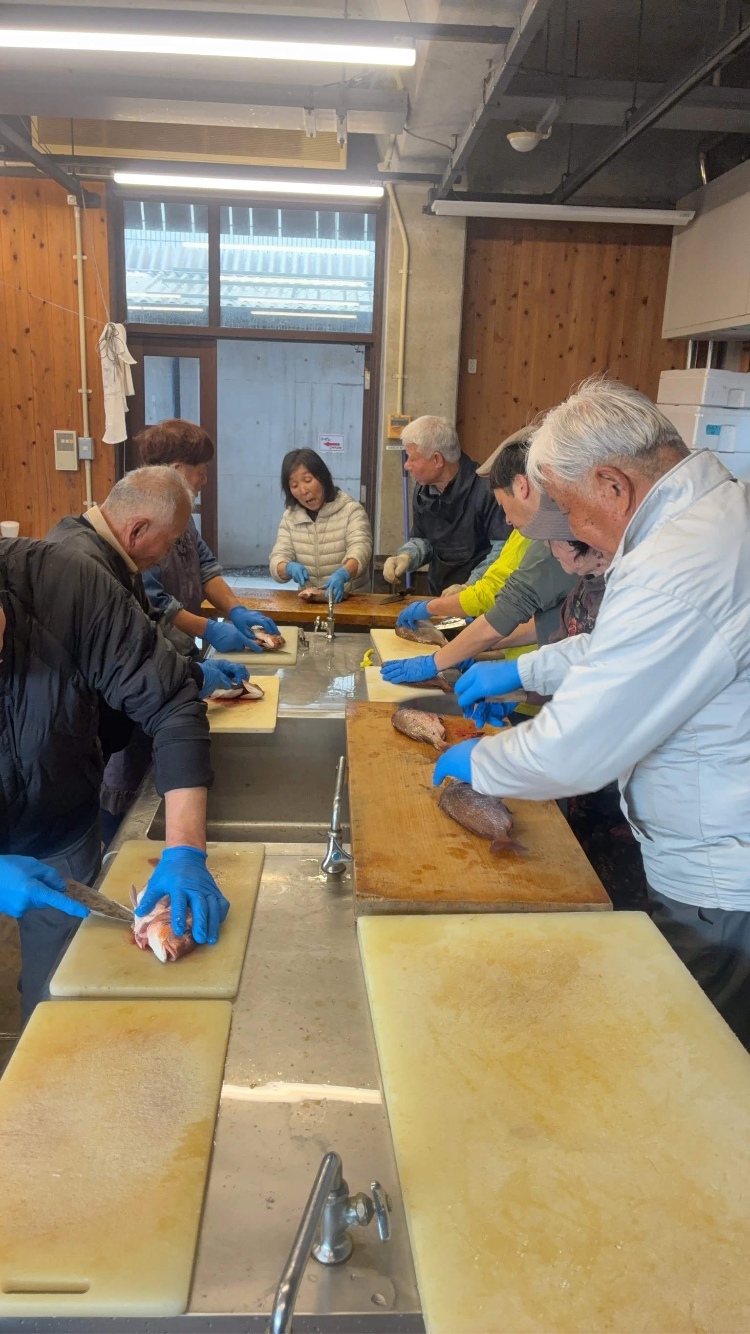 魚をさばく体験