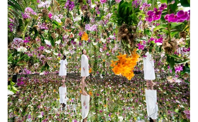 チームラボ《Floating Flower Garden:花と我と同根、庭と我と一体》©チームラボ
