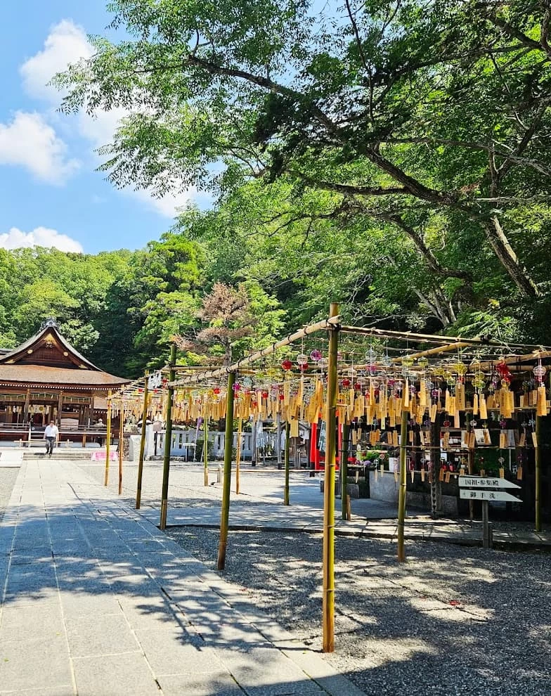 夏の境内