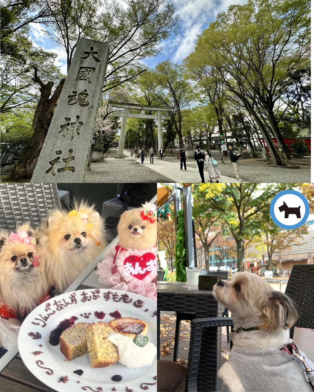 大國魂神社前テラス席　ペット＆記念日OK 