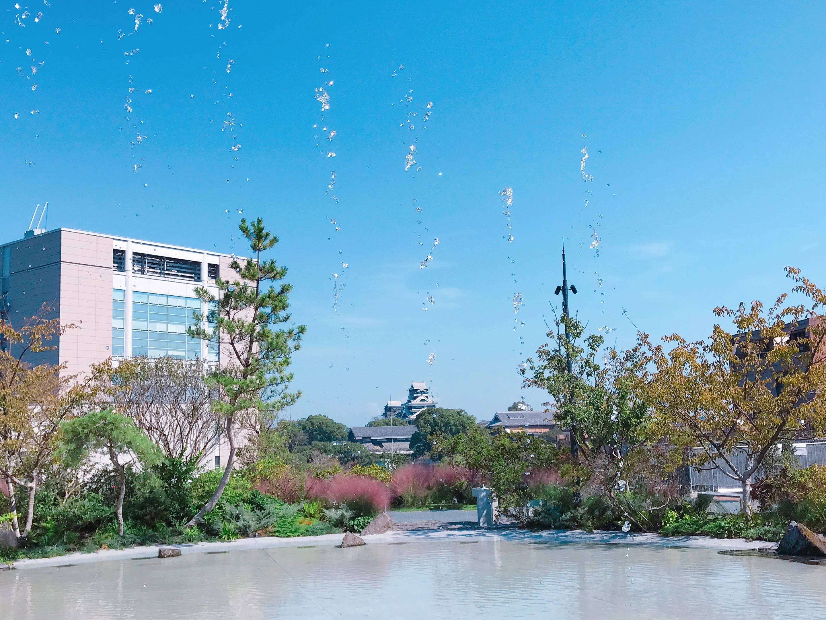 屋上庭園