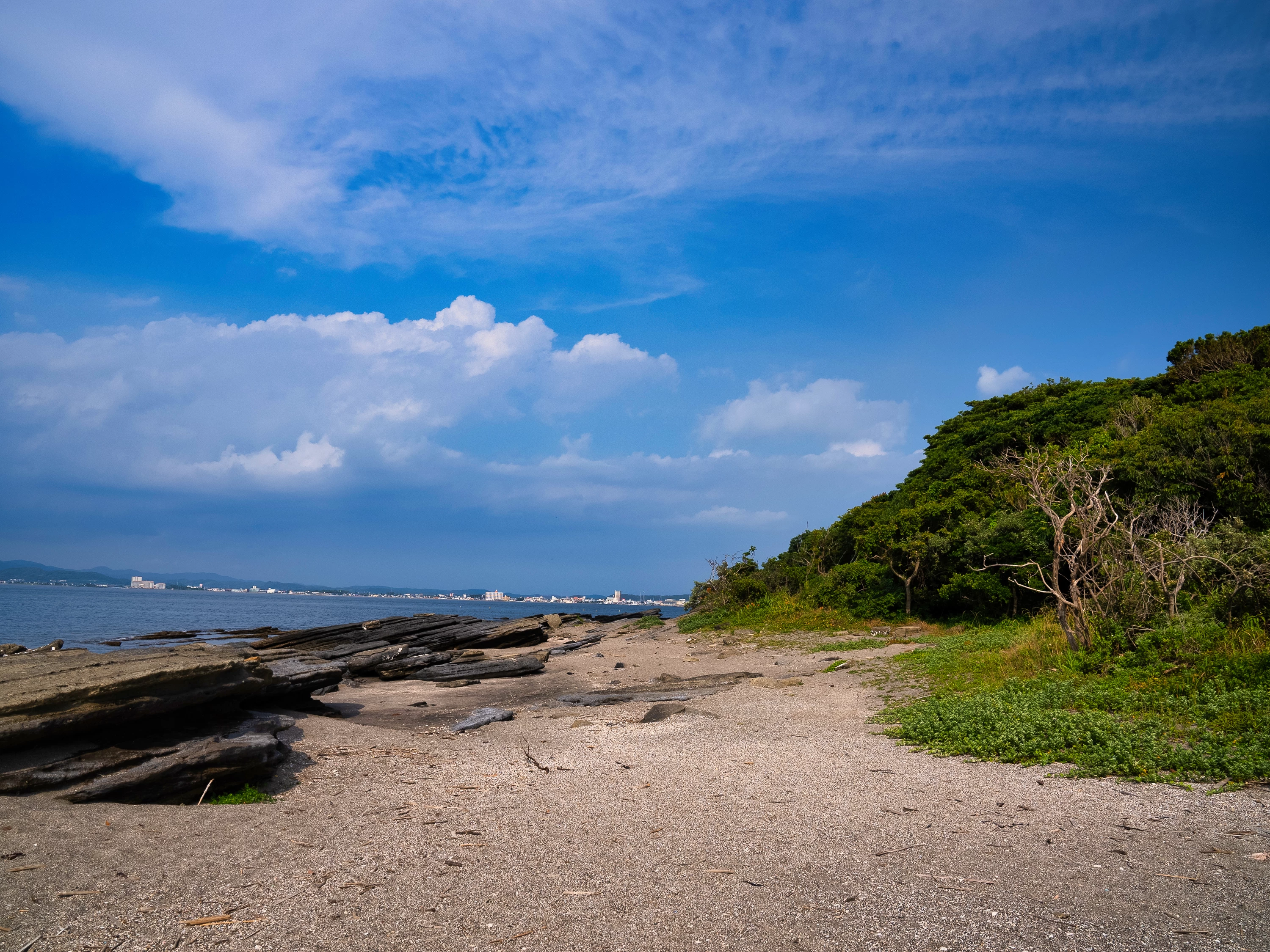 海岸