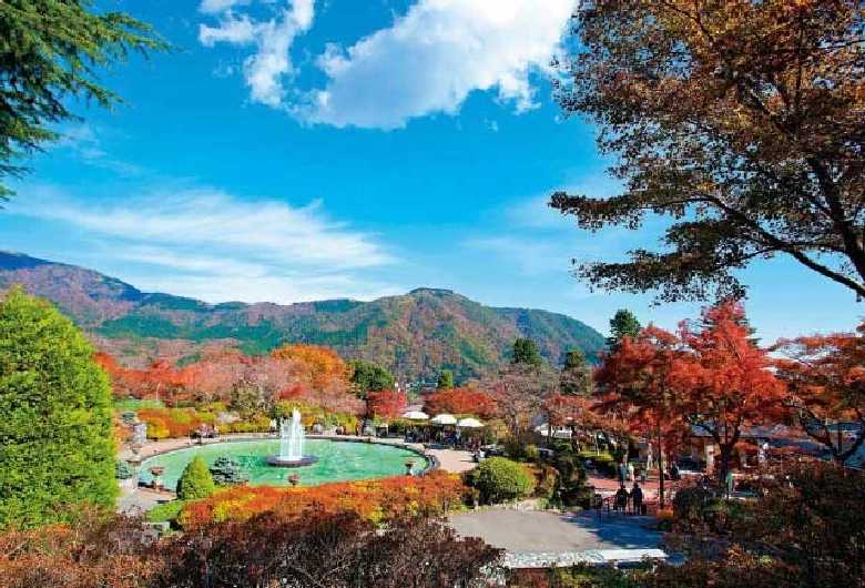 紅葉に染まる箱根強羅公園