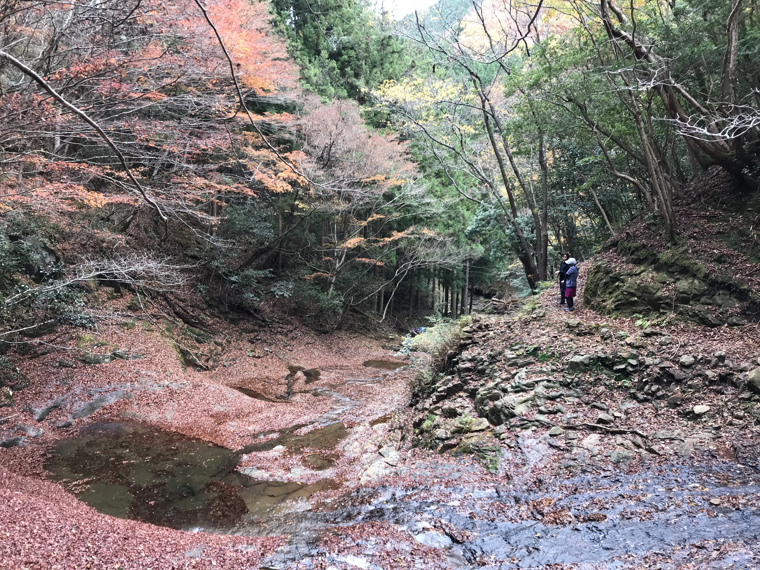 日神(ひかわ)渓谷いもづか・紅葉の秋
