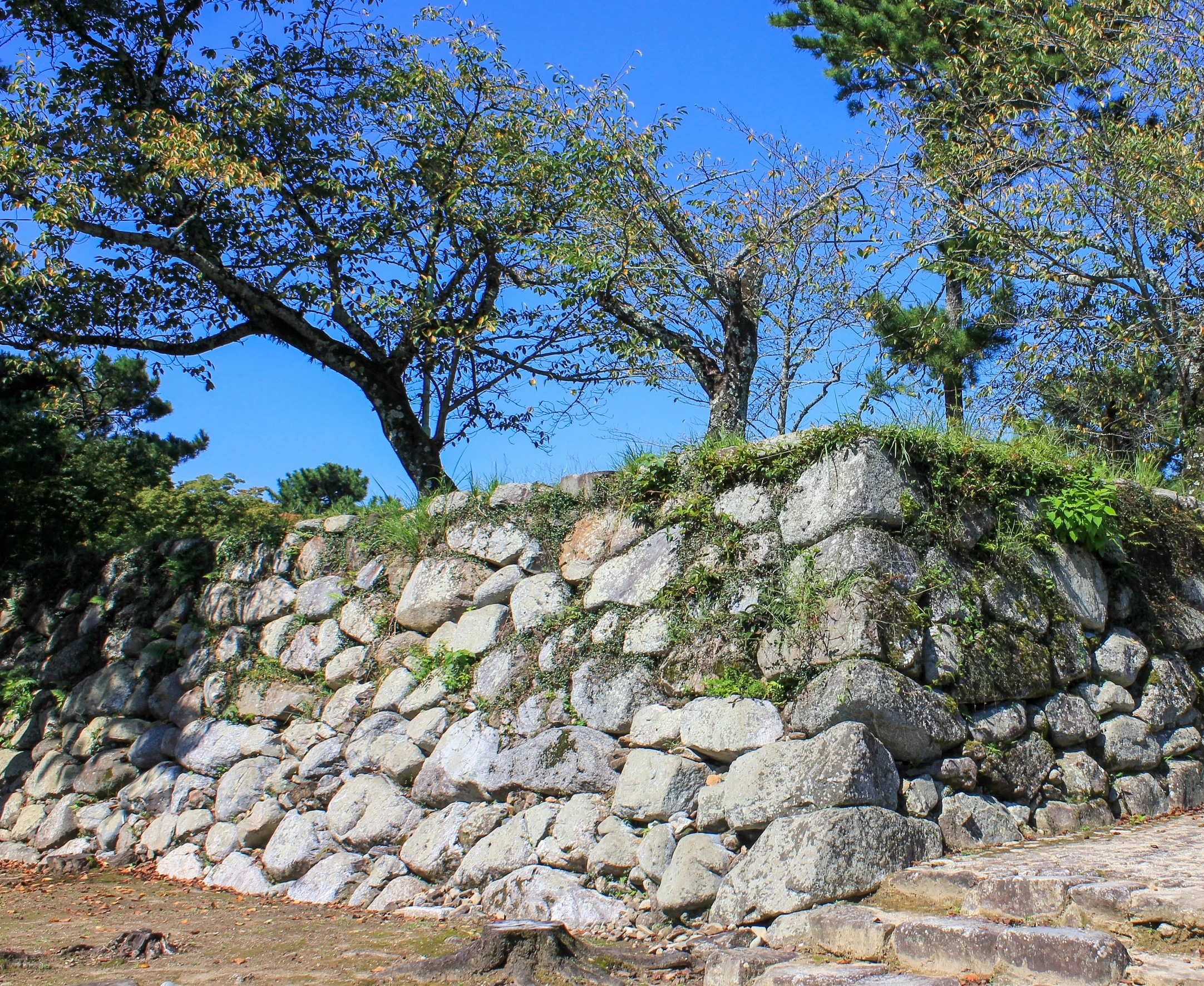 天守台の野面(のづら)積み