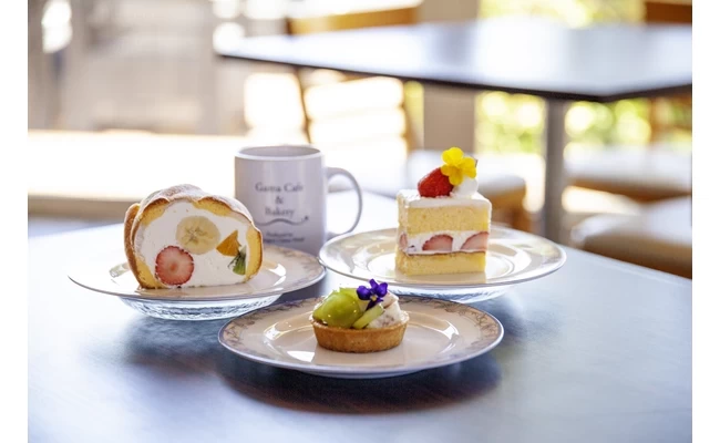 カフェケーキセット