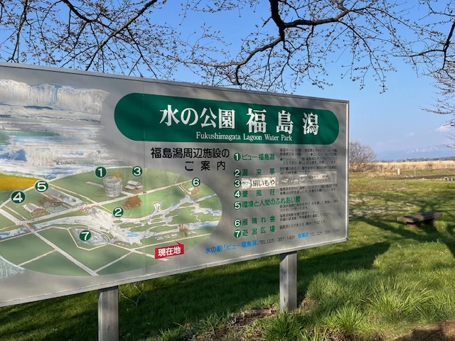 福島潟(現地にて撮影)
