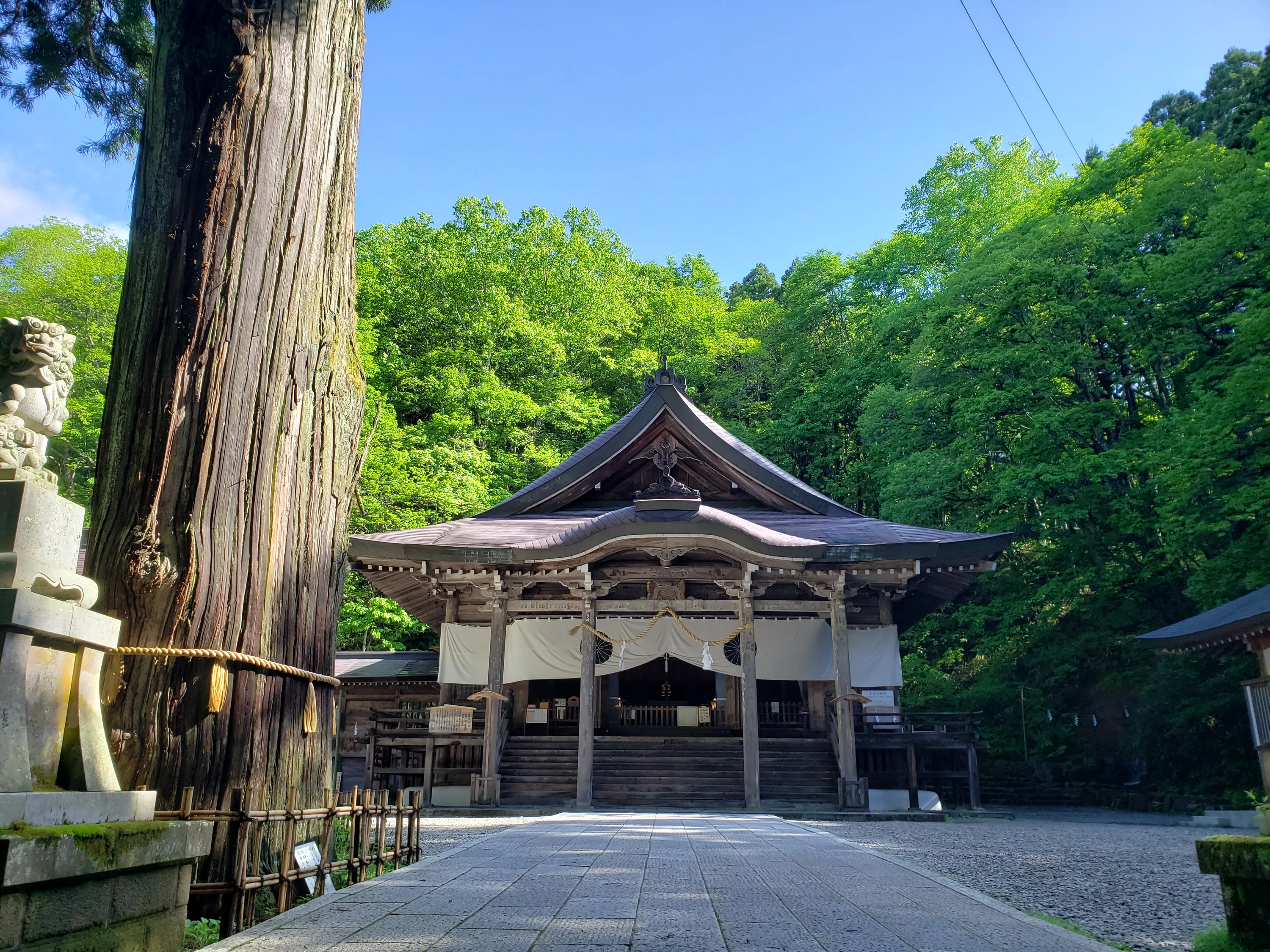 正面