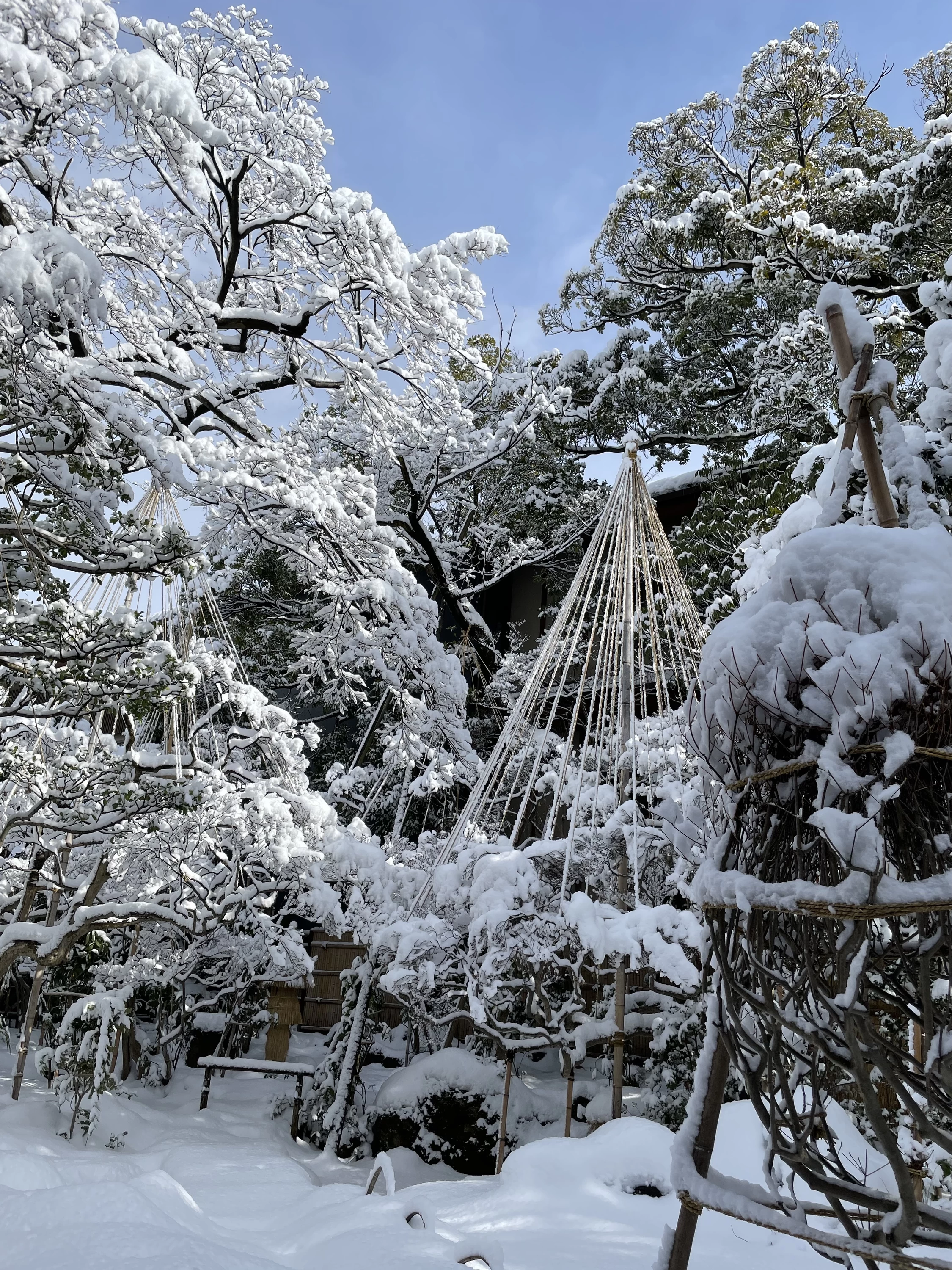 雪の日
