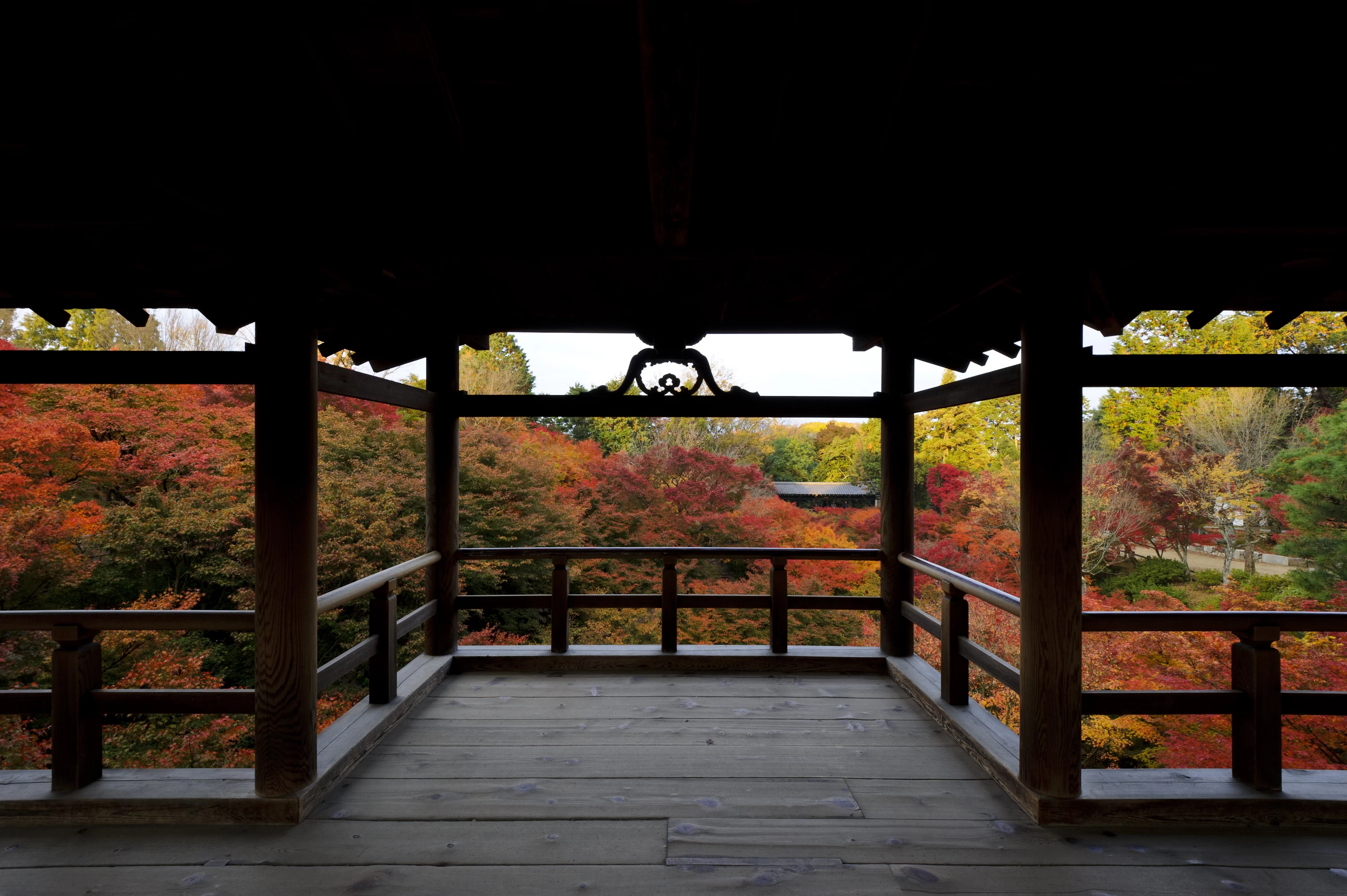 通天橋の紅葉