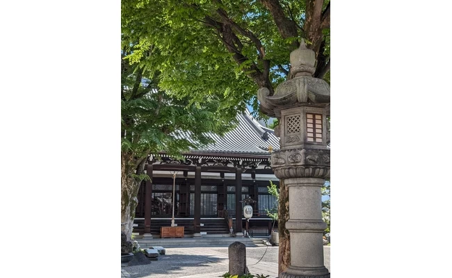 夏の本堂
