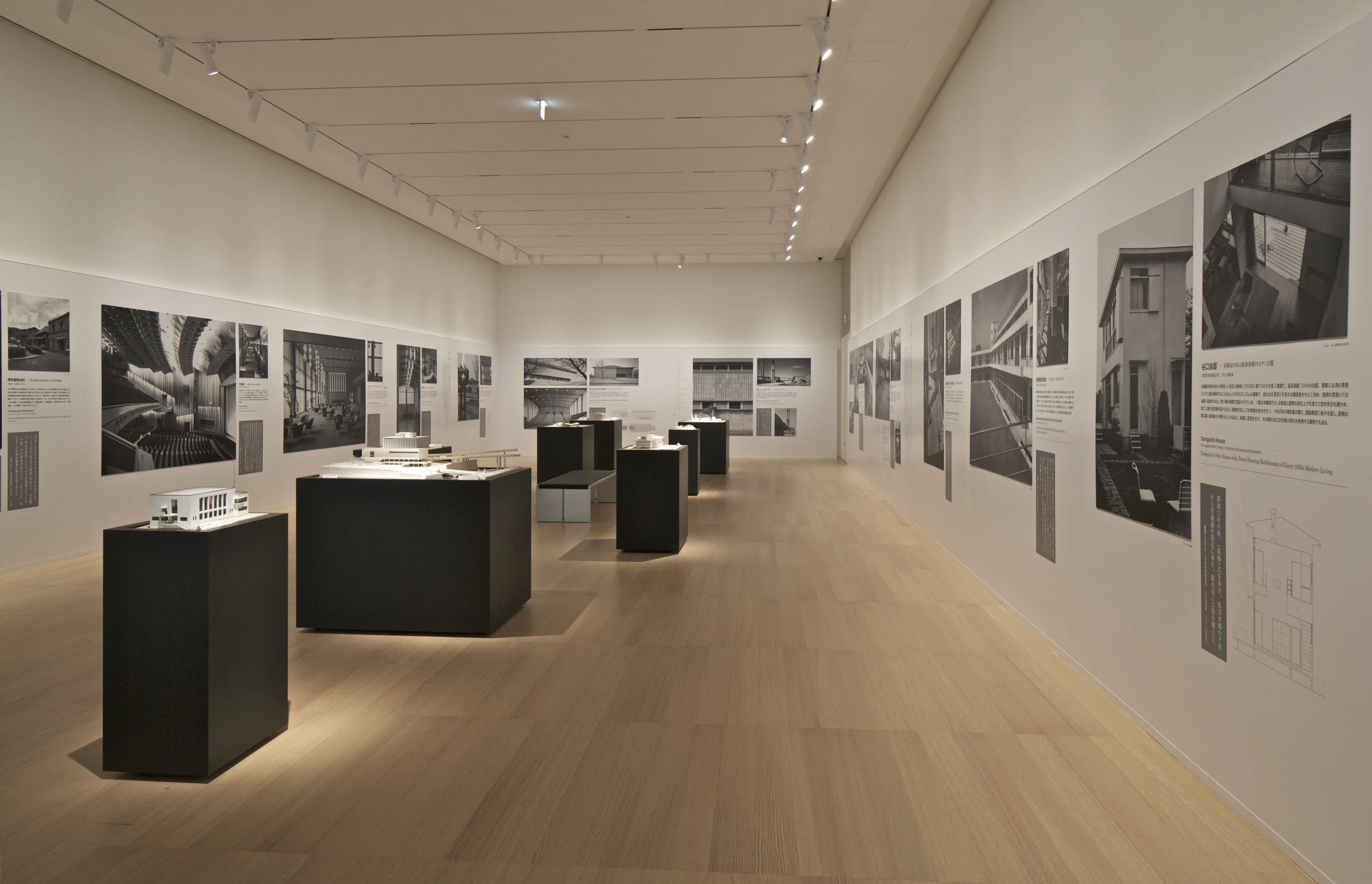 企画展示室（2019年オープン時）