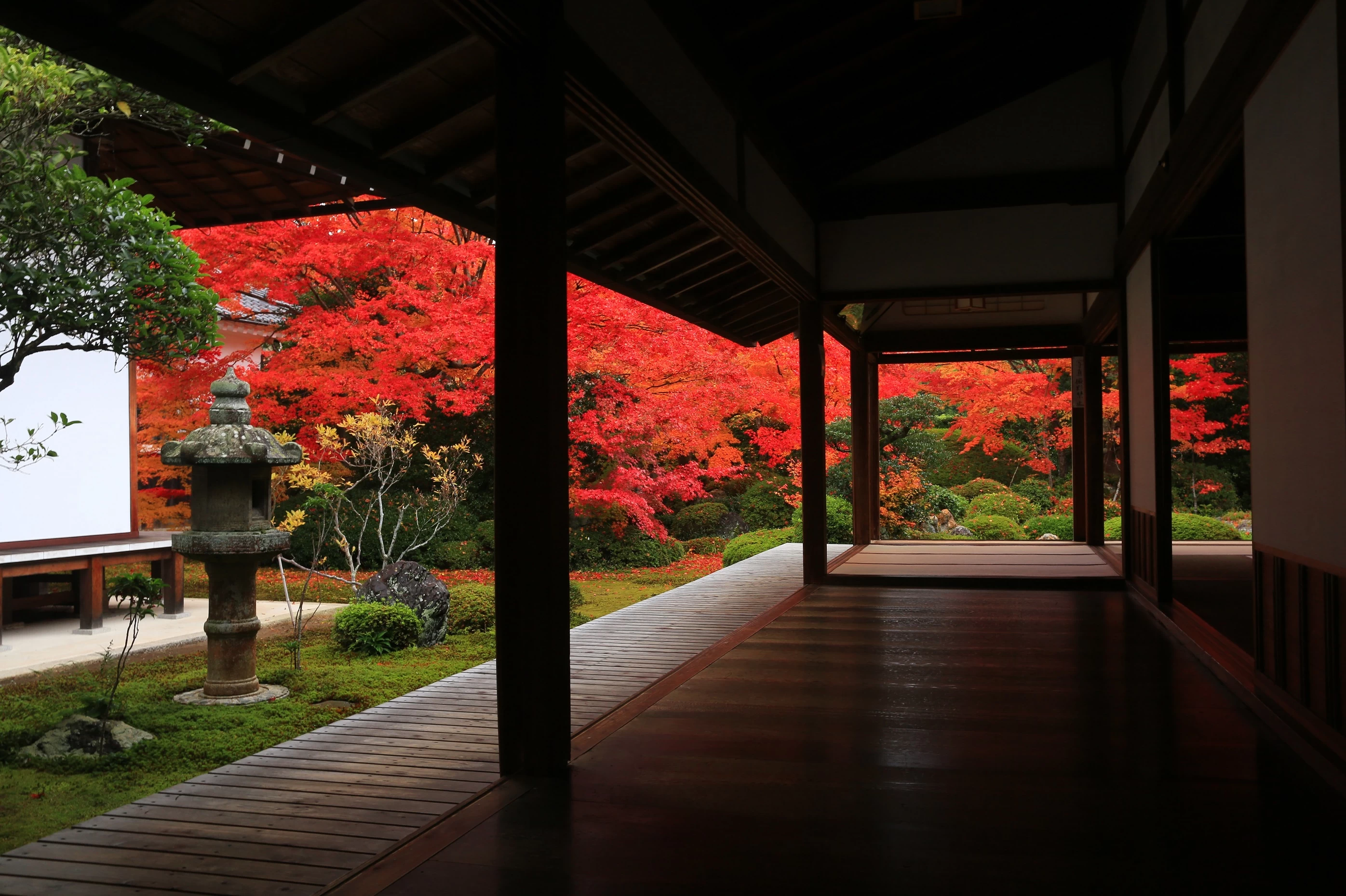 庭園