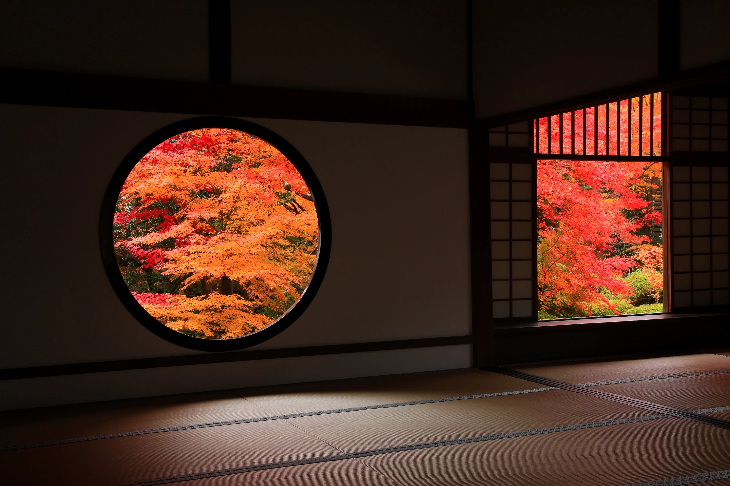 紅葉
